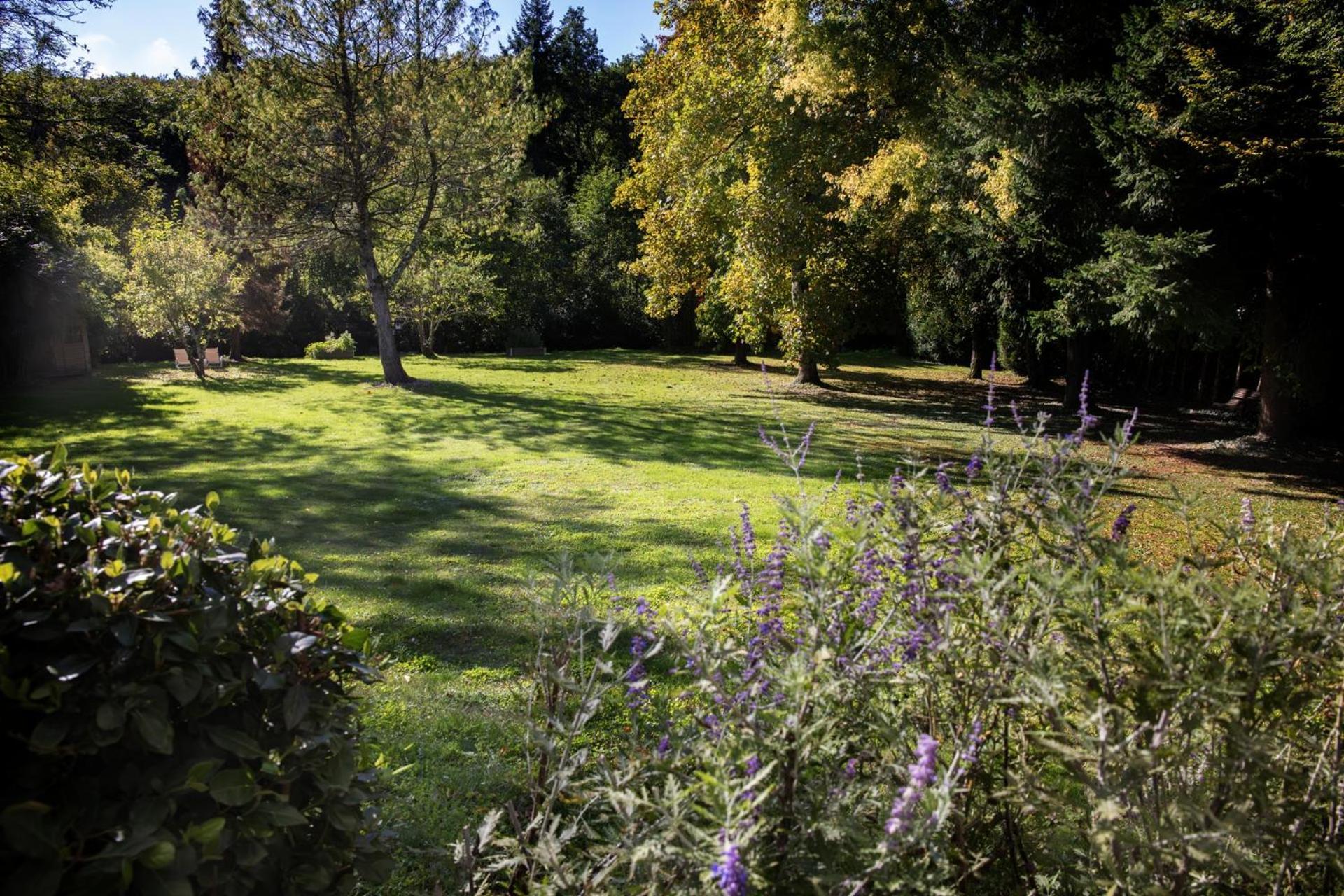 L'Aubiniere Hotel Restaurant & Spa Saint-Ouen-les-Vignes 외부 사진